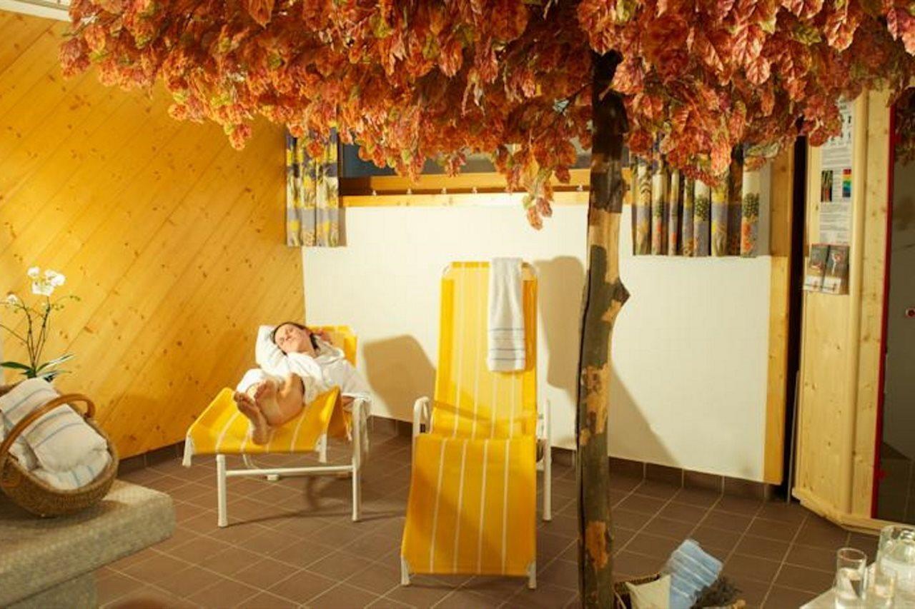 Appartement Muehle - Including Summercard, Sauna, Kaprun'S Largest Private Garden With Panoramic View Dış mekan fotoğraf